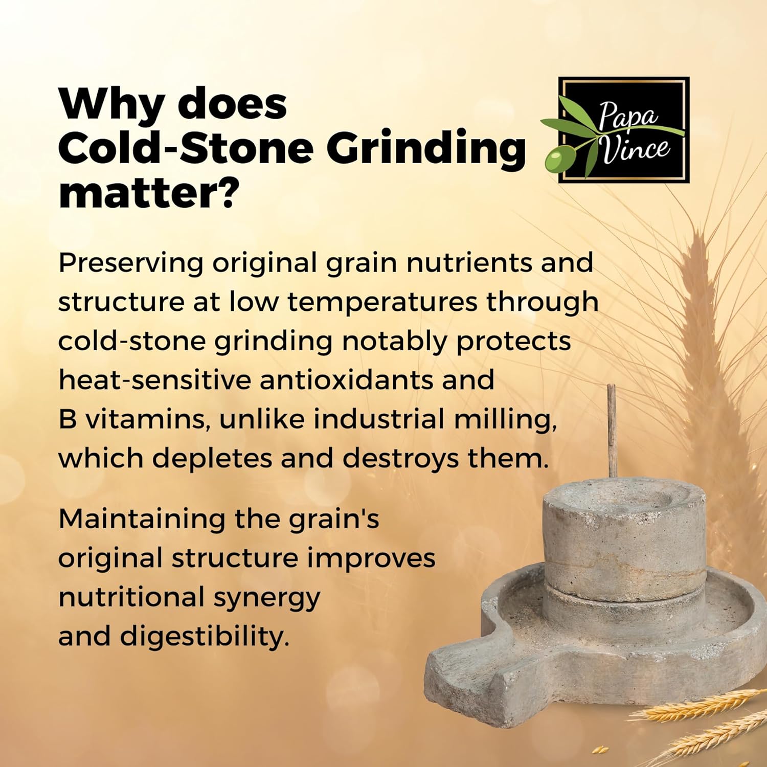 Papa Vince Organic Whole Wheat Spaghetti Noodles – Made in Italy, Non-Enriched, No Folic Acid – Organic Ancient Grain Pasta, Non-GMO, Artisan Bronze Die Cut, Slow Dried for Perfect Texture