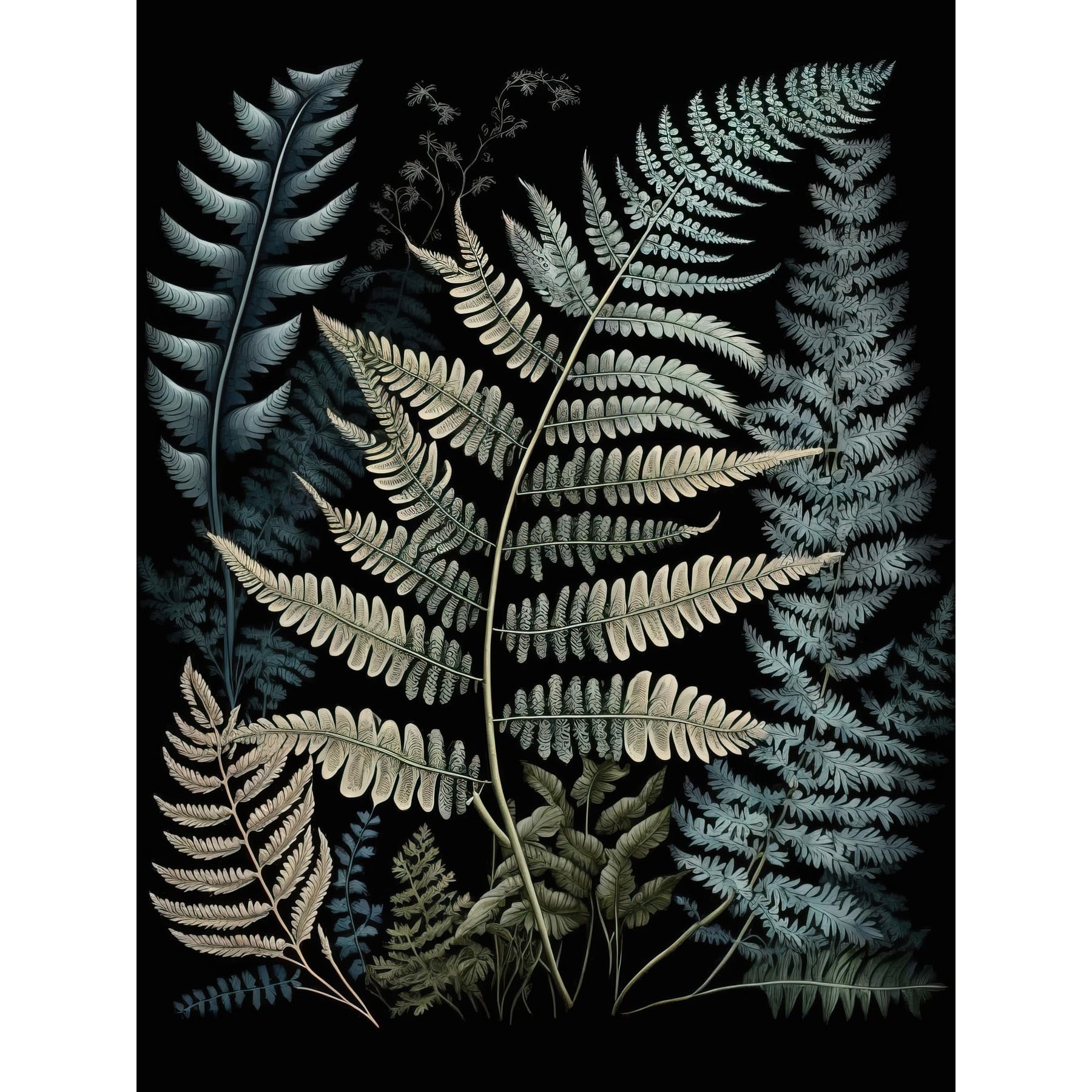 Artery8 Fern Frond Species Detailed Botanical Illustration Extra Large XL Wall Art Poster Print, Unframed Paper 24X32, 81L x 61W cm