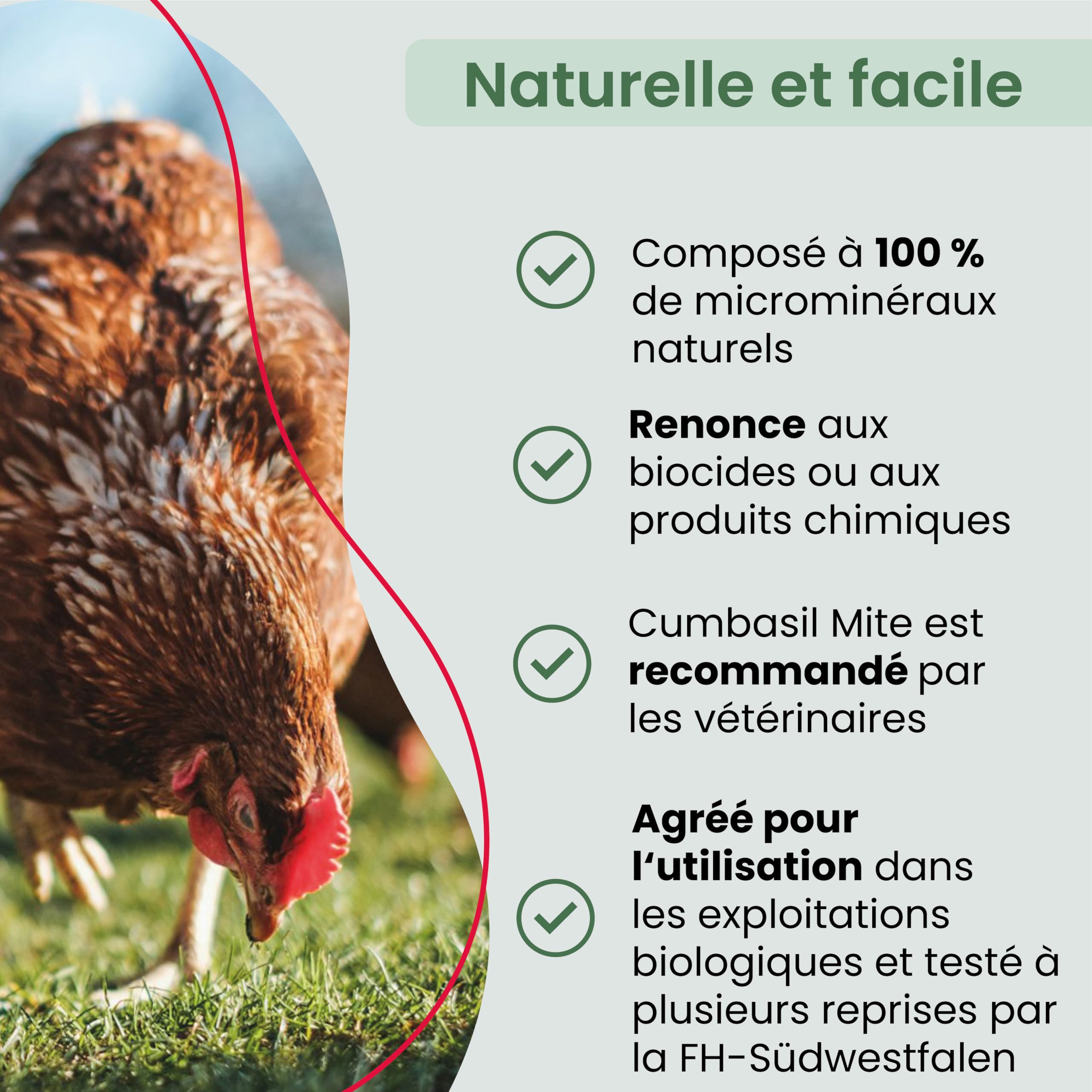 Mite bain de poussière pour poules 25kg, poudre contre les acariens, bain de sable, protection 100% naturelle contre les acariens, poudre contre les acariens, produit contre les acariens