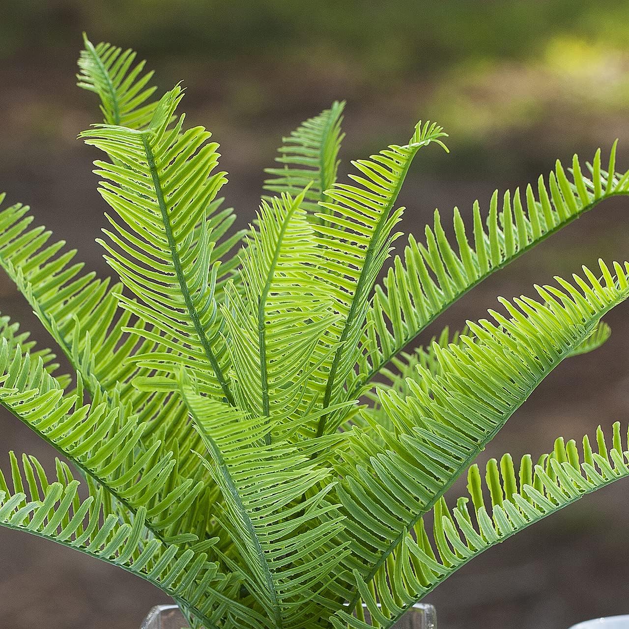 ENOVA FLORAL Small Artificial Potted Plants in Glass Vase,10 Inch Artificial Fern Plant with Vase, Faux Greenery Plants with Faux Water and River Pebbles, Artificial Plants in Vase