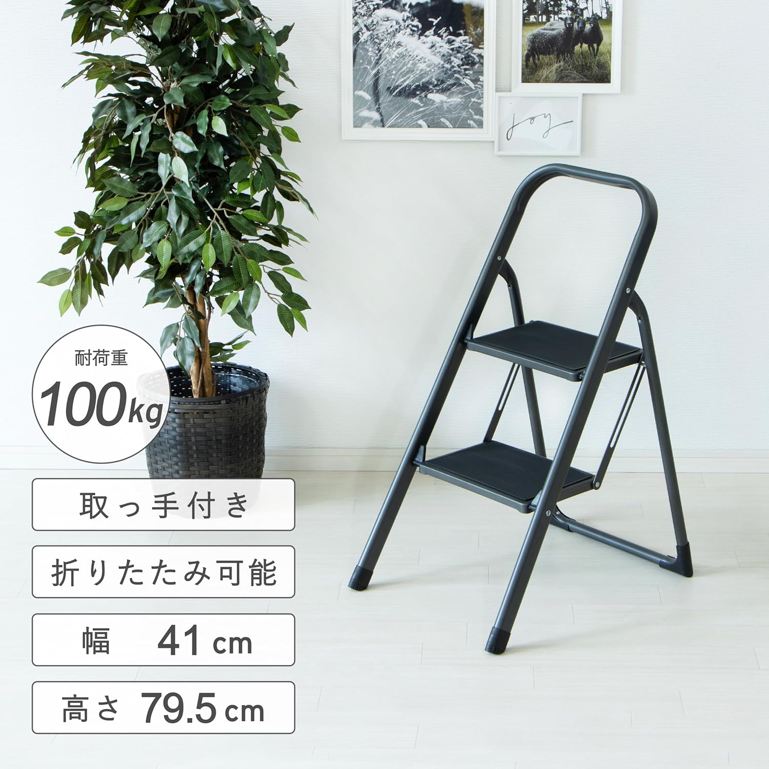 Takeda Corporation BK T3-FDS2BK Step Ladder, Step, Folding, Black, 16.1 x 22.4 x 31.3 inches (41 x 57 x 79.5 cm), Folding Step, 2-Step
