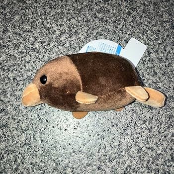 Amazon.co.jp: 超もちぷに水族館 しゅーごーぬいぐるみ うみもの