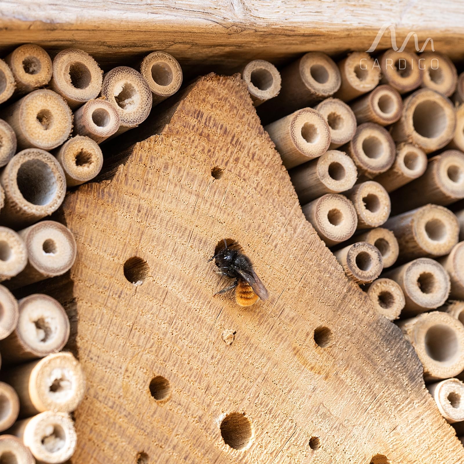 Gardigo Hotel per Insetti Premium | Grande Casa per Insetti in Legno Naturale Massiccio per Api e Api Selvatiche | Aiuto per la Nidificazione degli Insetti | Made in Germany | Casetta per Insetti