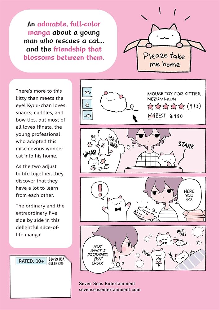 Wonder Cat Kyuu-chan Vol. 1 : Nitori, Sasami: Amazon.ca: Books