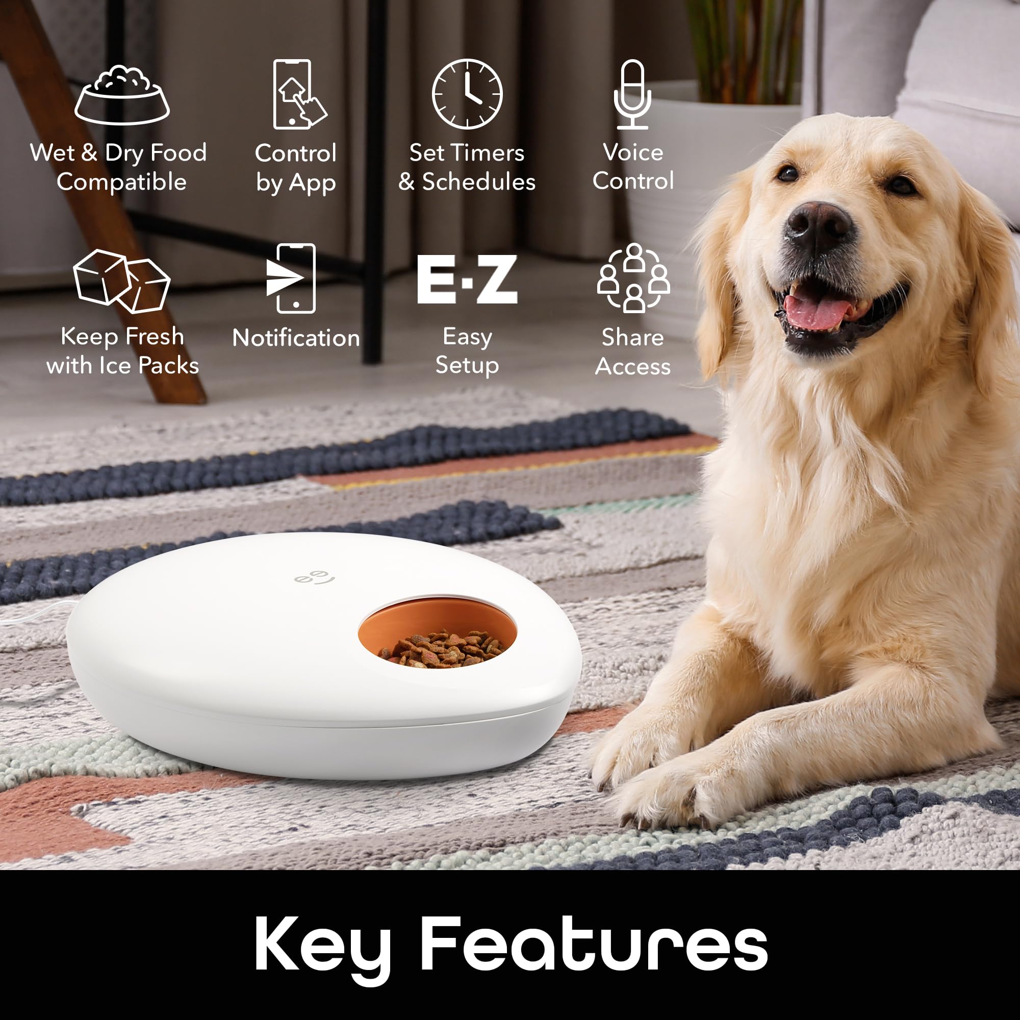 Geeni Smart Pet Feeder, Programmable Dispenser for Wet/Dry Food, App Control, Alexa/Google Compatible, Large Capacity, Battery Powered