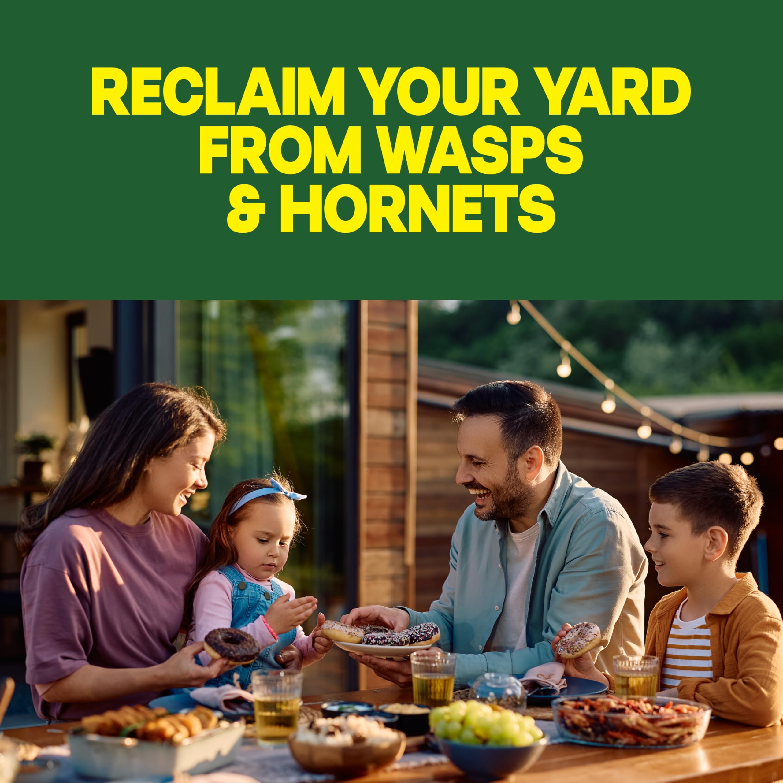 14 oz 2 Count Wasp & Hornet Killer Bug Spray Y7290