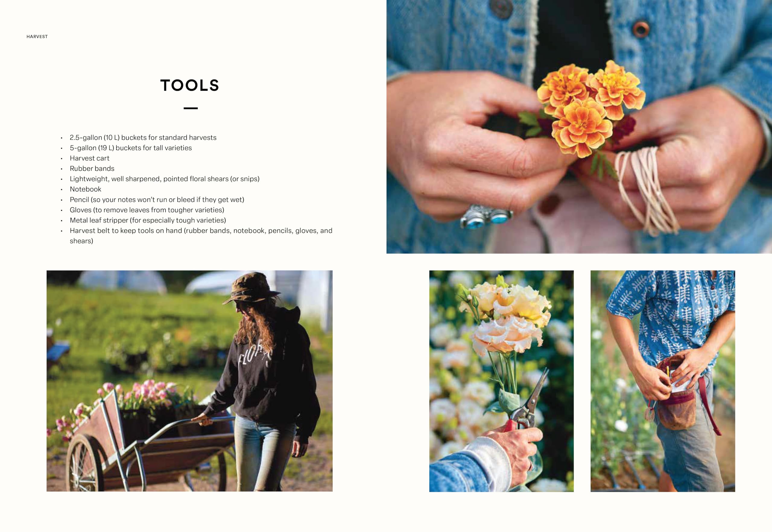 Floramama: From Garden to Bouquet, Growing Flowers for Market