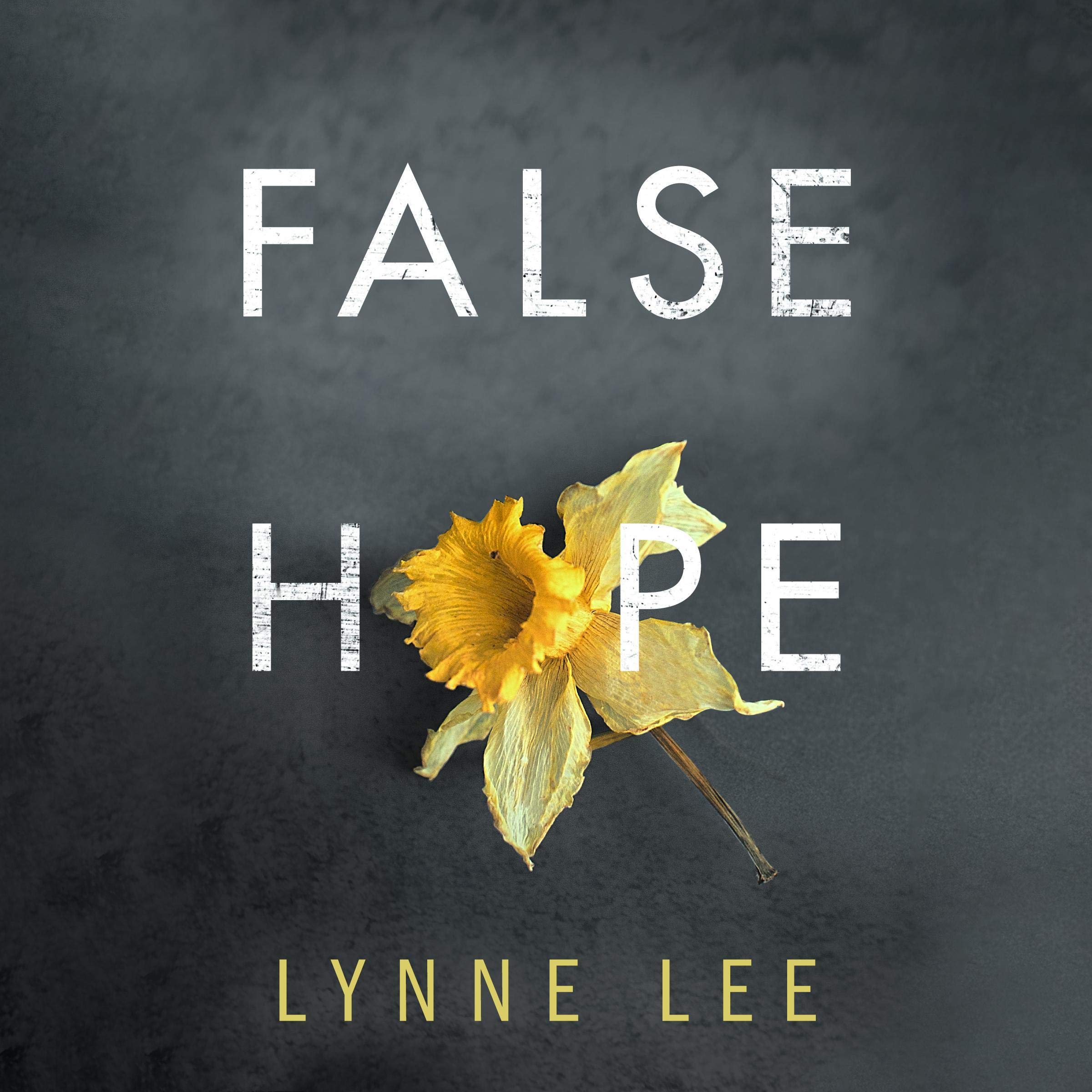 Cover art for False Hope