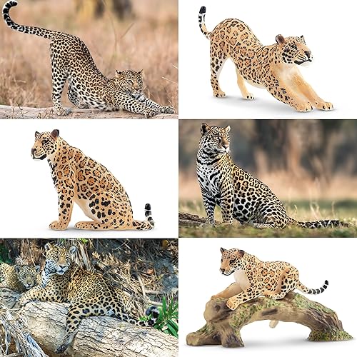 Miniatura 6 de Toymany 4 figuras realistas de leopardo con cachorro de leopardo, figuras de plástico de 2 a 5 pulgadas, juego familiar incluye bebé, juguete