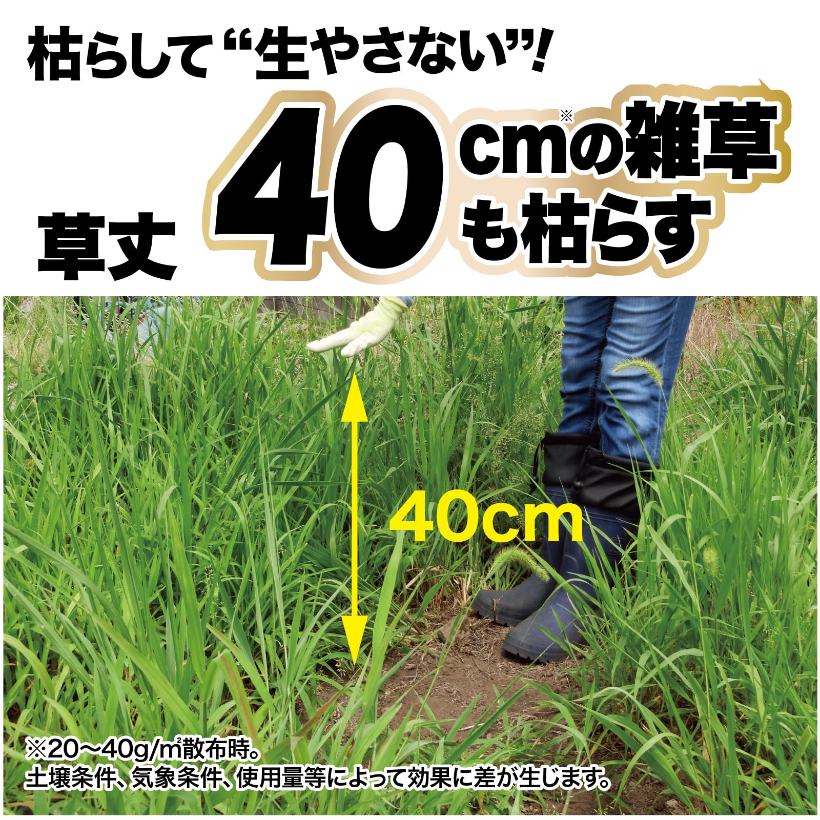 ネコソギ 10キロ 2袋 ネコソギ10キロ2袋