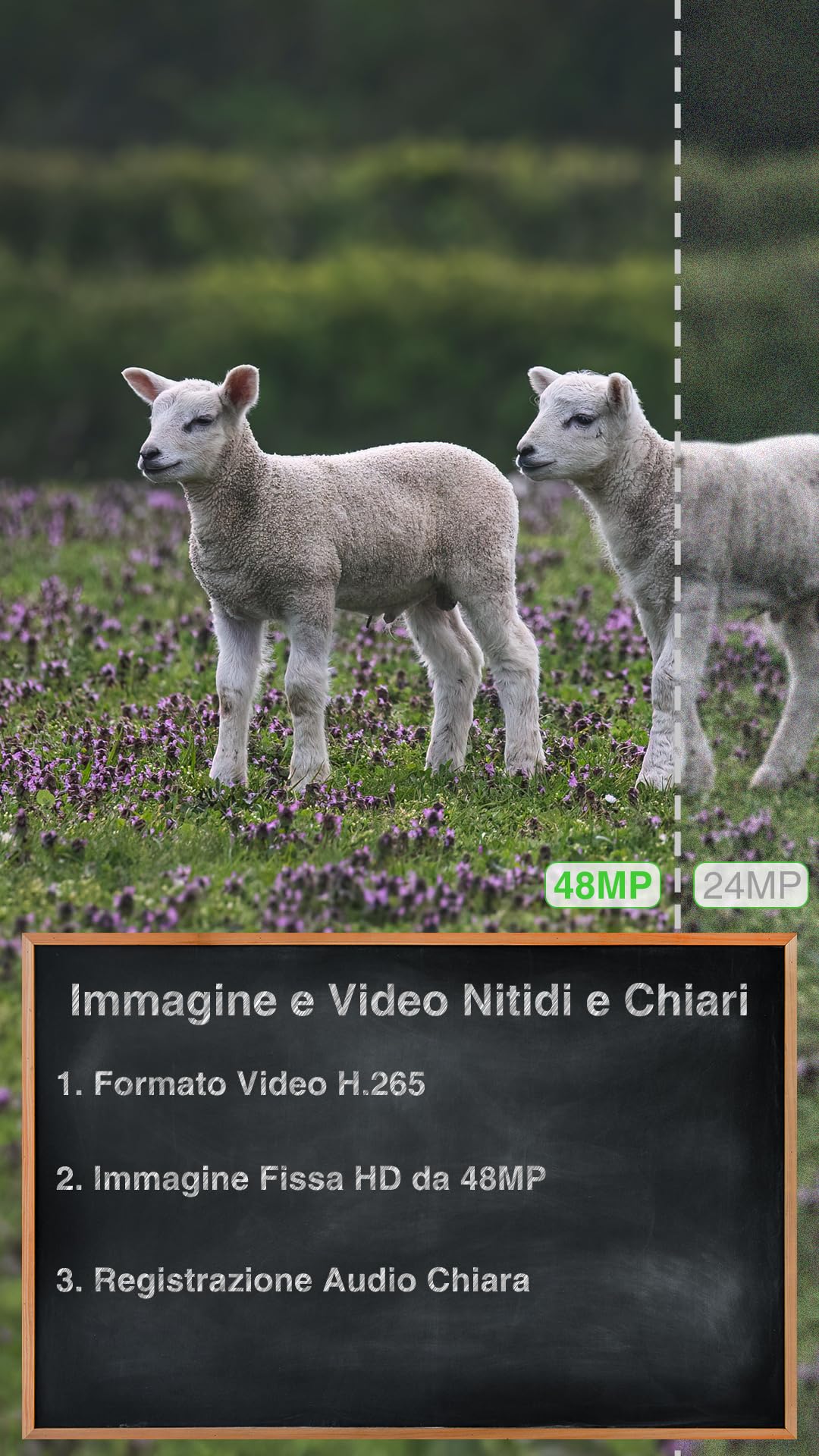 GardePro X50 Pro Max Fotocamera da Caccia 4G LTE con Streaming Live, Batteria Ricaricabile da 8000mAh, Scheda SD Integrata, 48MP 1296P, Animali Movimento Attivato Visione Notturna Esterna X50PLMB