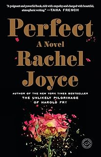 Perfect: A Novel