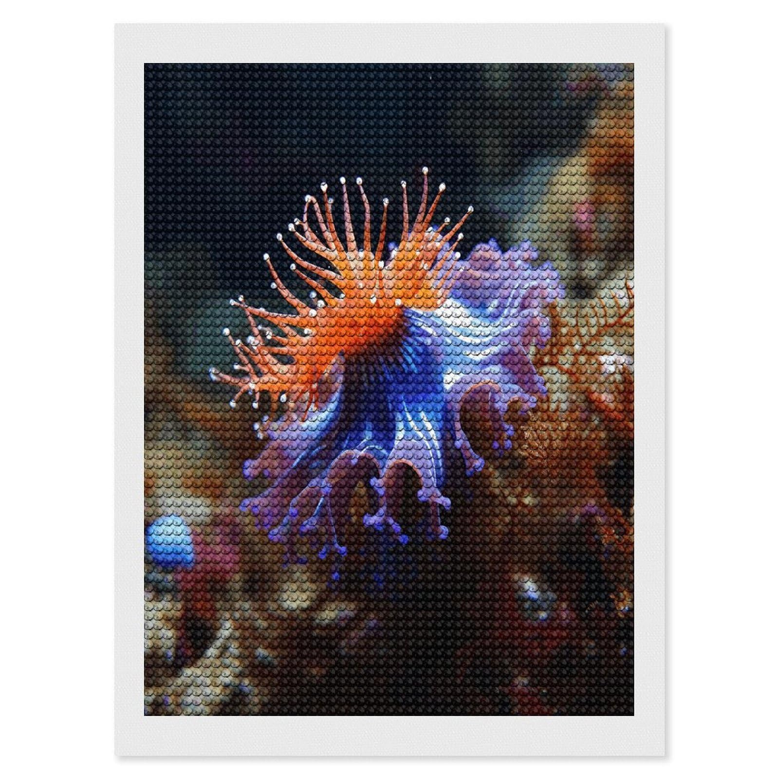 FekiLoot Nudibranch Diamond Art Kits for Adults Diamond Painting Kits for Beginners DIY Diamond Art Kits Round Full Drill Diamond Dot Gem Painting for Home Wall Decor Gift 12"x16"