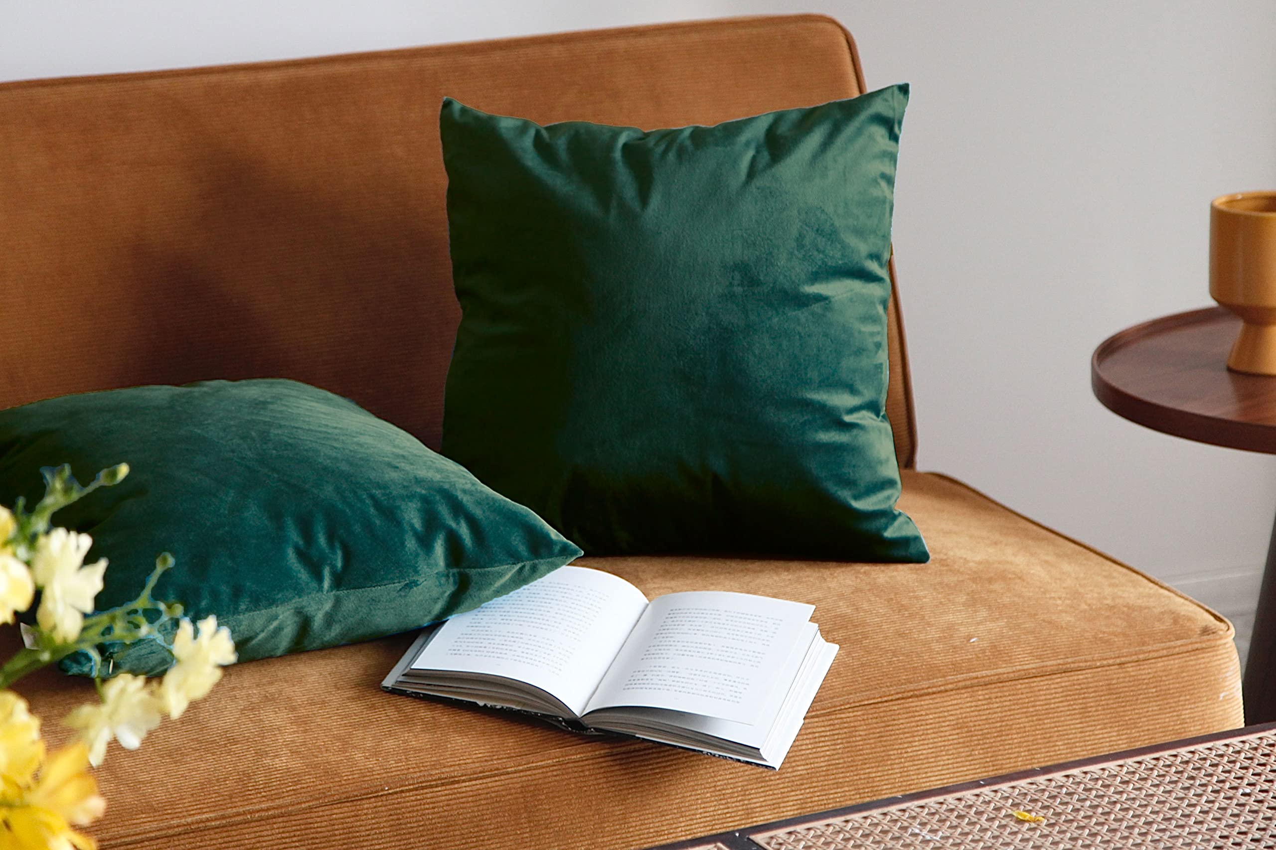 Pagnanno. Emerald Green Set Of 2 Soft Velvet Cushion Covers 45X45cm(18X18 Inches) Plain Throw Pillowcases Square Cushion Covers For Chairs,Living Room,Bedroom With Invisible Zipper ((Pack Of 2), )