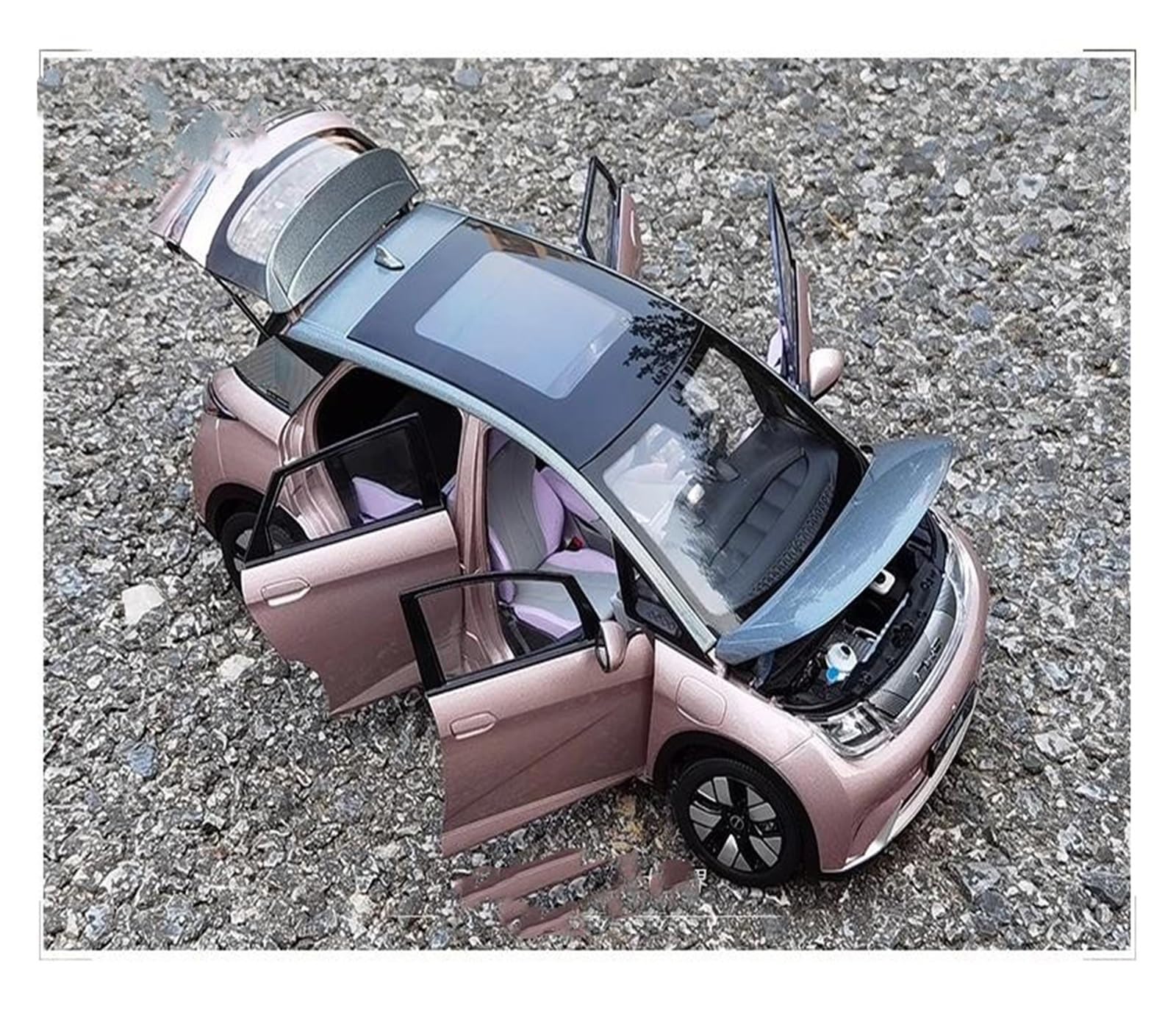 Amazon.com: MZAMOXZ 1 18 for BYD Dolphin 2021 Pure Electric Car