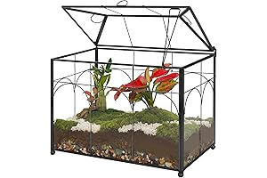 Handmade Glass Plant Terrarium with Lid: Elevate Your Indoor Decor with Modern Elegance