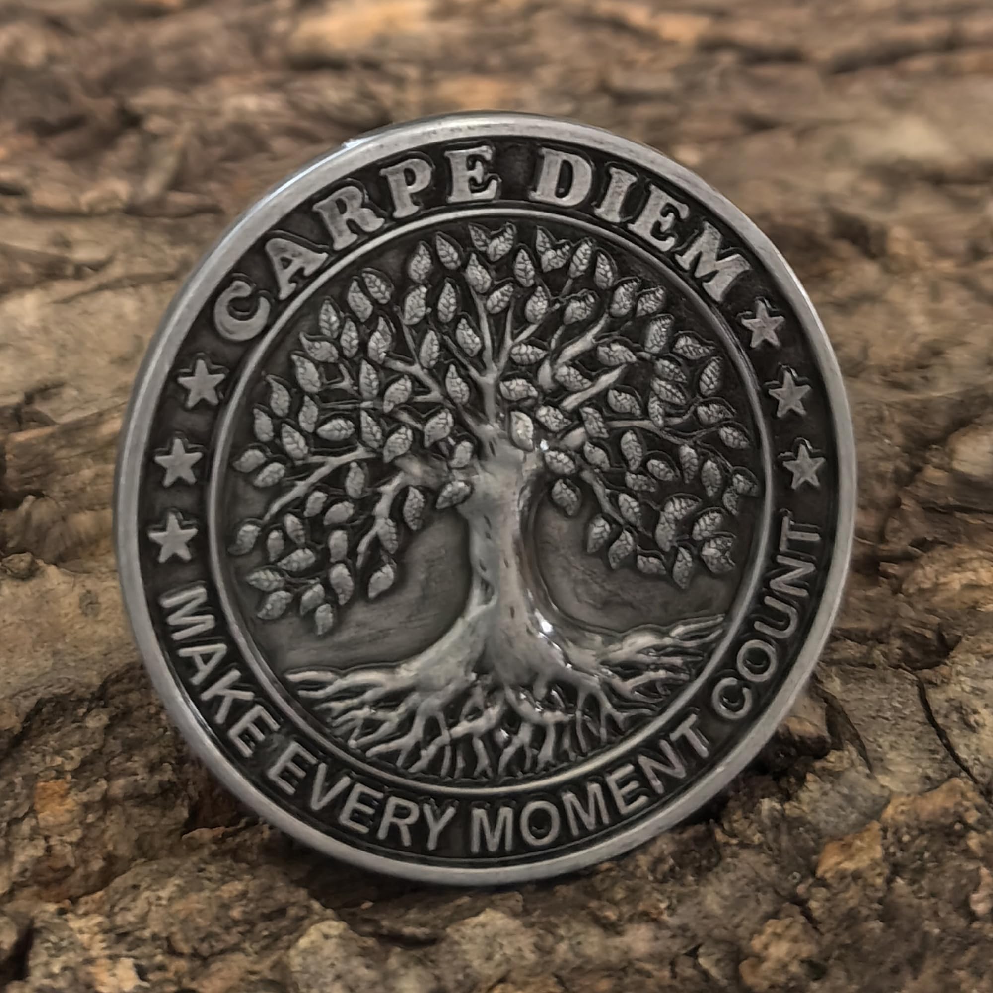 Carpe Diem Coin LZWIN Carpe Diem Memento Mori Challenge Coin - 1.57 Inch  Zinc Alloy Motivational Token Carpe Diem Memento Mori Motivational Token