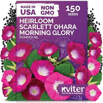 KVITER 150 Scarlett OHara Morning Glory Seeds for Planting Ipomoea Nil Red Morning Glory Vine Seed Packets Non GMO Heirloom Flower Seeds to Plant Outside Home Garden, Containers, Trellises