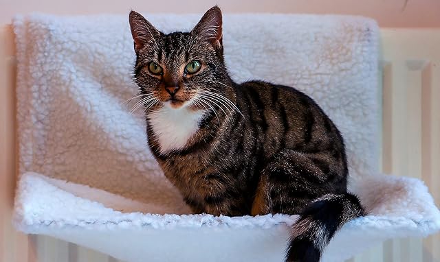 DIVCHI Cat Dog Puppy Pet Radiator Bed Warm Fleece Beds Basket Cradle Hammock Animal