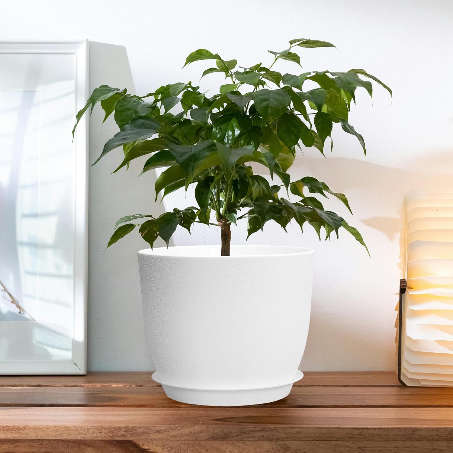 Plant Planters Pots 3 Pack 10 Inch Plant Pots, Plastic Plant Pots with Drainage Hole and Saucers Large Indoor Flower Pot for Indoor Plants,White