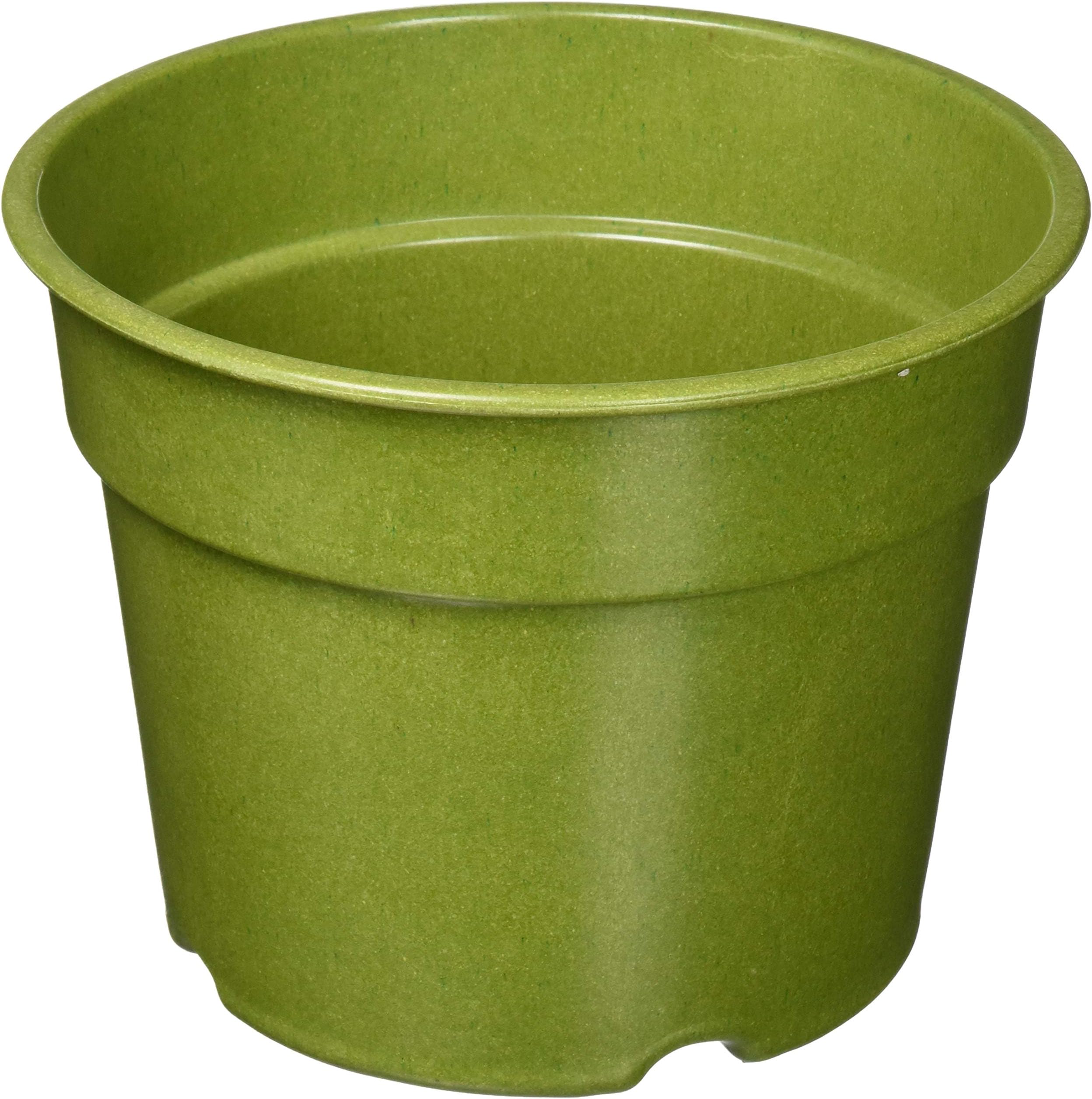 Rosso's International P5-4 5.6-Inch by 7.1-Inch Grass Decorative Biodegradable Bamboo Pot