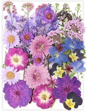 40 Pcs Purple Dried Pressed Flowers Real Natural for Scrapbooking Art Crafts DIY Gift Papermaking Resin Party Decorations Candle Soap Card Jewelry Making Supplies