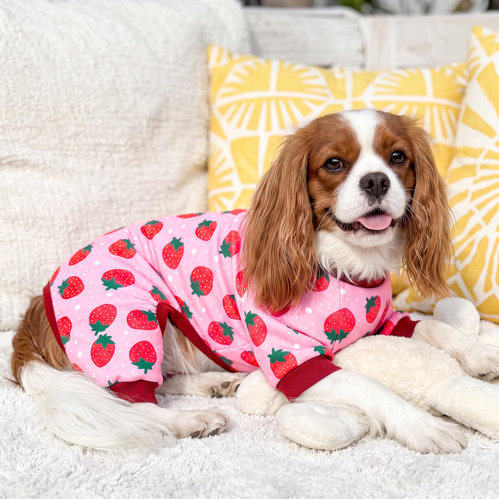 XPUDAC Pijamas de perro de 4 piezas para perros pequeños, ropa de cachorro, trajes para perrito, camisas de Navidad, pijamas para mascotas, gatos, pijamas, XL