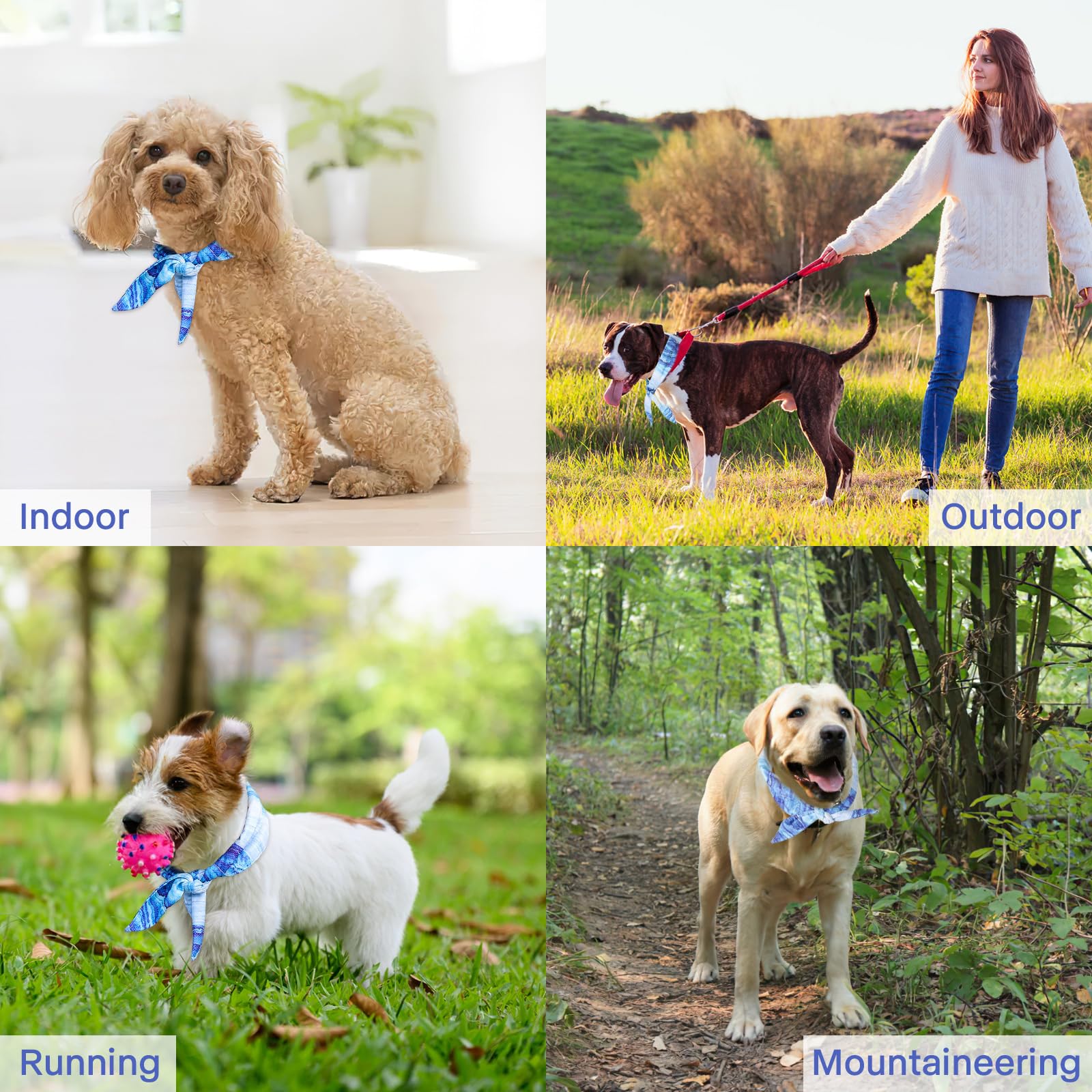 Collare di Raffreddamento per Cani, Bandana Rinfrescante per Cani, Sciarpa Rinfrescante per Animali Domestici, Traspirante Bandana di Raffreddamento Istantaneo per Cani di Piccola Media e Grande (M)
