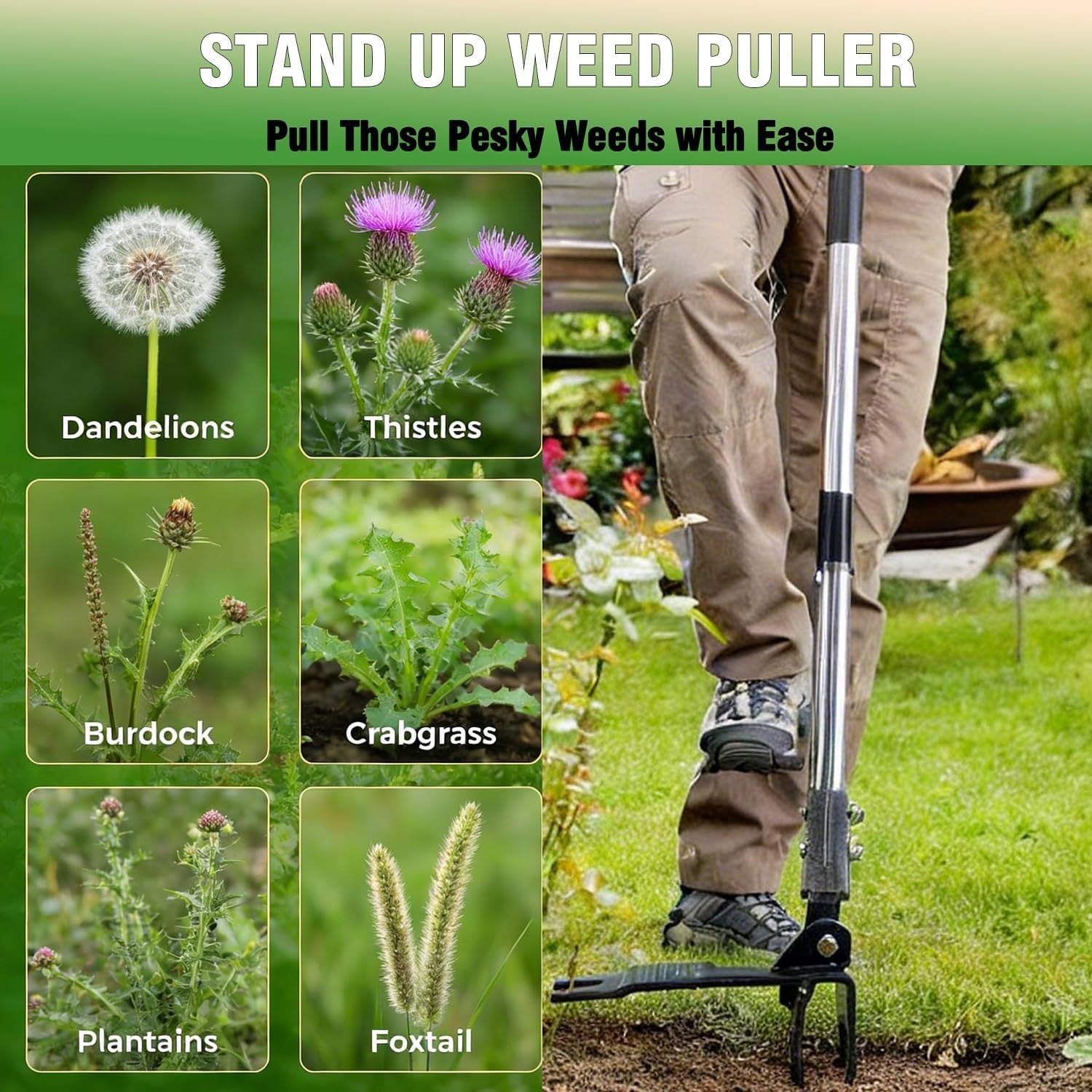 Weed Puller Tool, Heavy Duty Stand Up Weeder Tool with Long Stainless Steel Handle & 4-Claw Steel Head, Weeding Tool with Adjustable Handle, Easily Remove Weeds Without Bending, Pulling or Kneeling