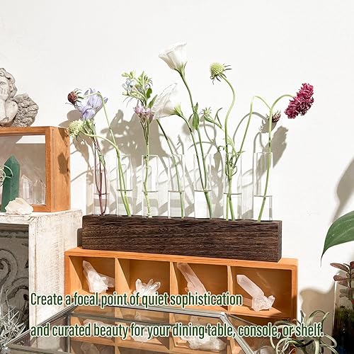 Miniatura 4 de KAXYEW Estación de Propagación de Plantas de Escritorio de Vidrio con Tubo de Ensayo, Terrario de Plantas en Soporte de Madera para Plantas