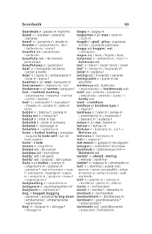 Merriam-Webster's Word-for-Word Spanish-English Dictionary
