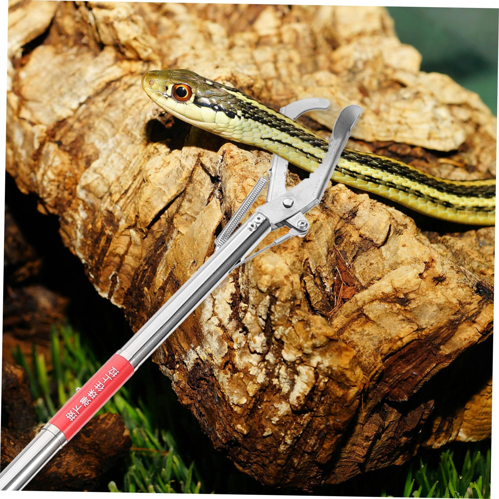 LIFKOME Pinza per Crostacei Impugnatura in Metallo Inossidabile per Design Antiscivolo per Acchiappare Granchi e Gamberi Acchiappare Granchi e Gamberi