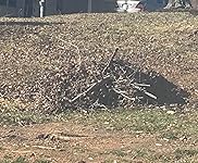 Review Image by K Kusch K Kusch