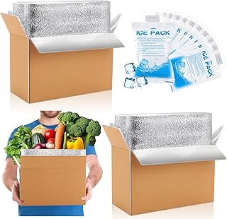 Honoson 2 Pcs Thermal Insulated Shipping Boxes for Frozen Food with Ice Pack and