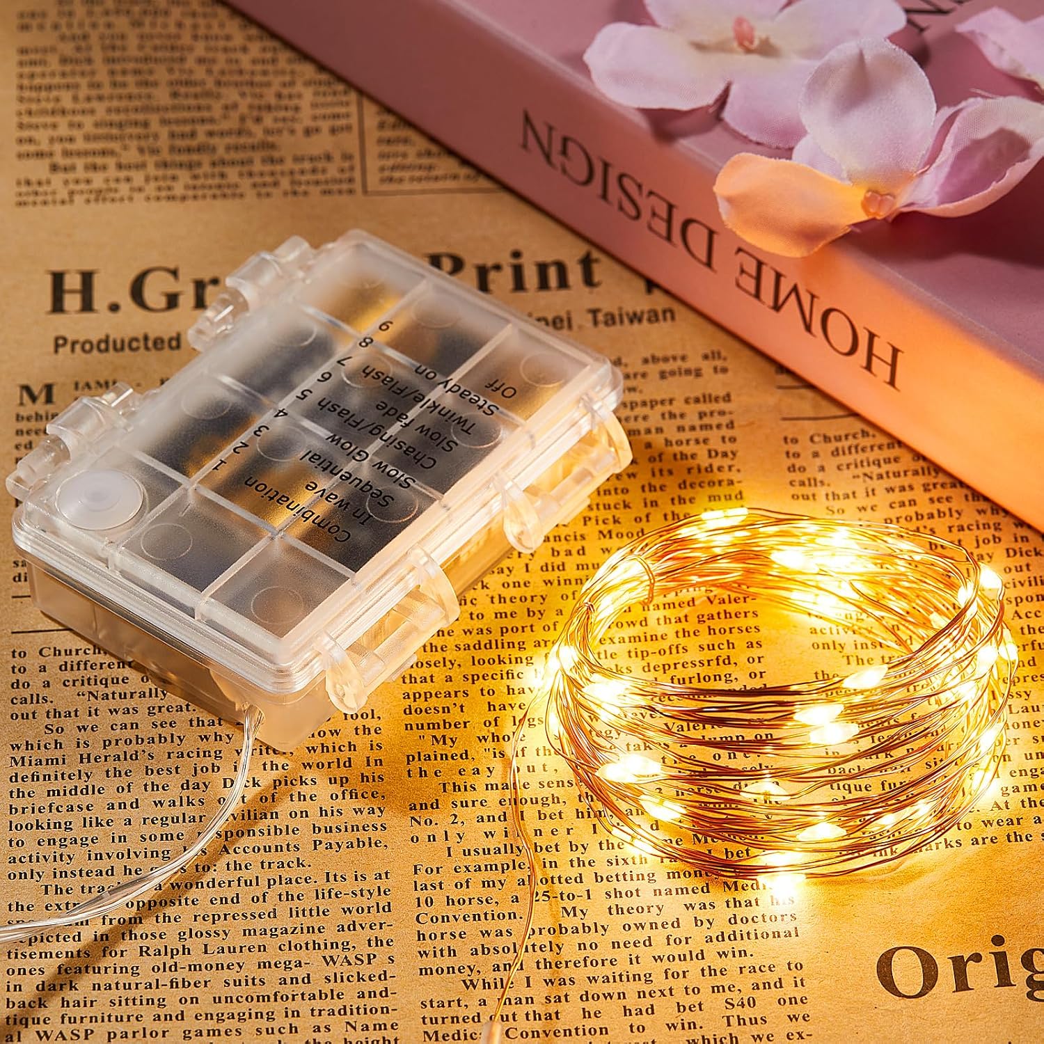 Ariceleo 2 Pack 16.4 Ft. Battery Operated Outdoor String Lights with Remote & Timer, LED Warm White Fairy Lights, Waterproof Twinkle Lights for Bedroom, Dorm, Mason Jar, Wedding, Party, Christmas