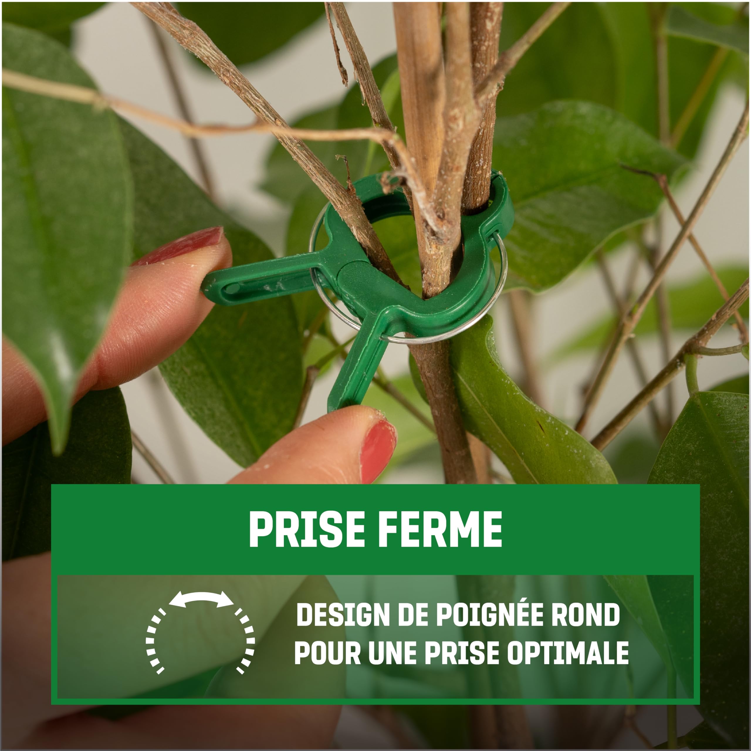 pinces à plantes pour tomates, roses, concombres et autres plantes grimpantes, Support