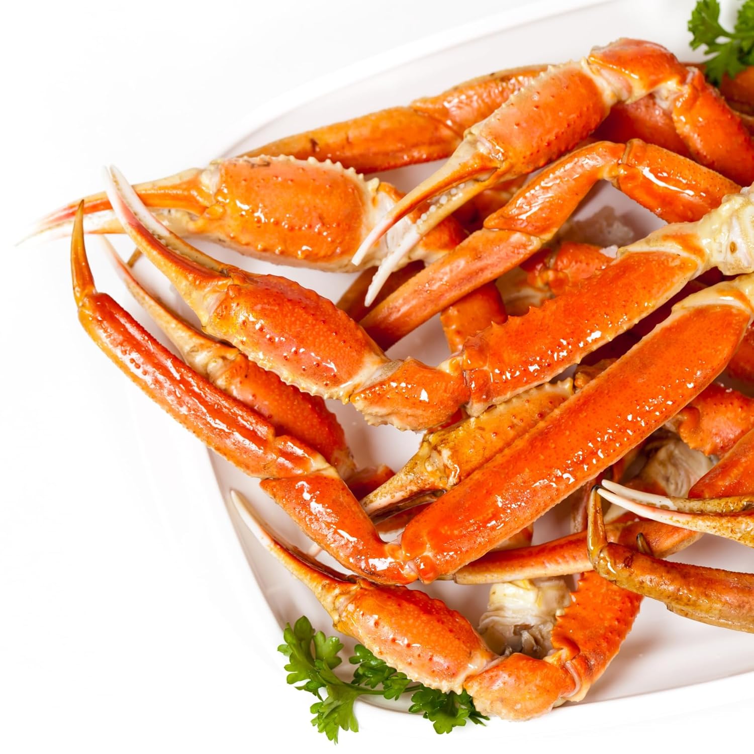 Today Gourmet Foods of NC- Snow Crab Legs- 8oz-10oz Clusters (20lbs)