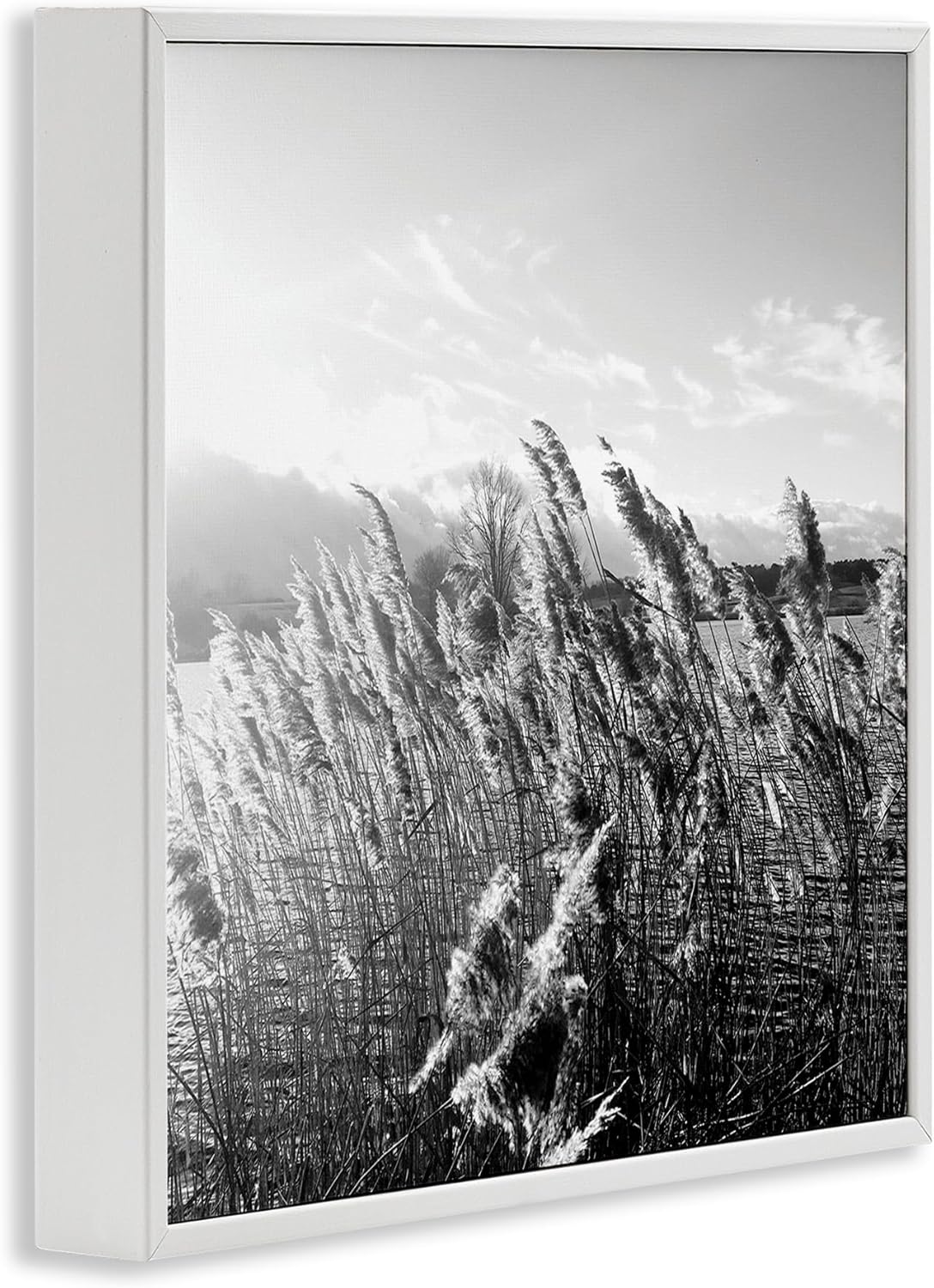 Stupell Industries Tall Grass Lake Water Landscape Black Photography, Designed by Sarah Jane White Framed Wall Art, 24 x 24
