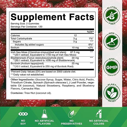 Miniatura 2 de Vitamatic Gomitas de musgo marino irlandés mg – 240 gomitas veganas – Hechas con vejiga y raíz de bardana – Suplemento de masa de marina, sin gluten