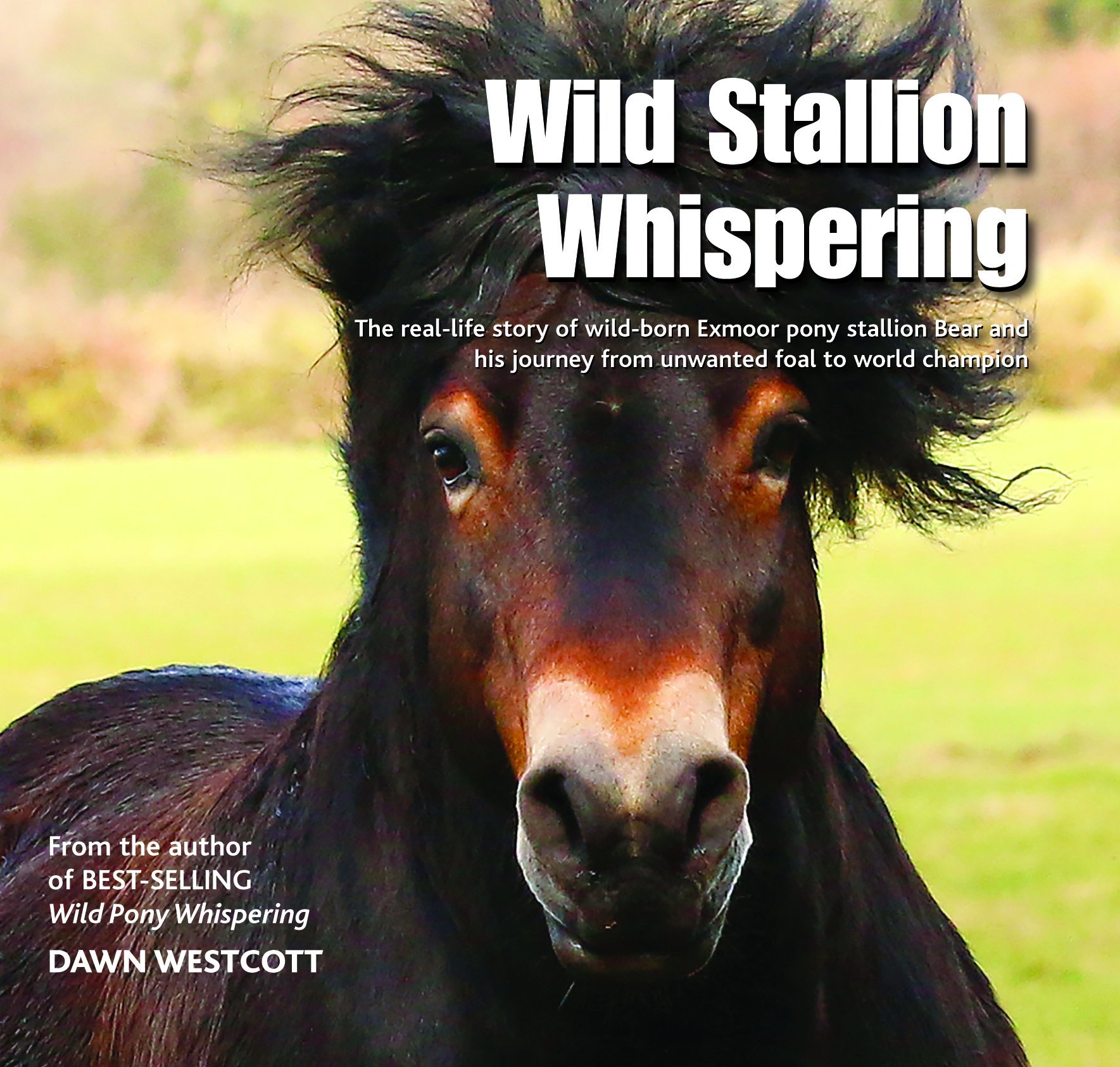 Wild Stallion Whispering by Dawn Westcott Exmoor pony Exmoors native ponies book