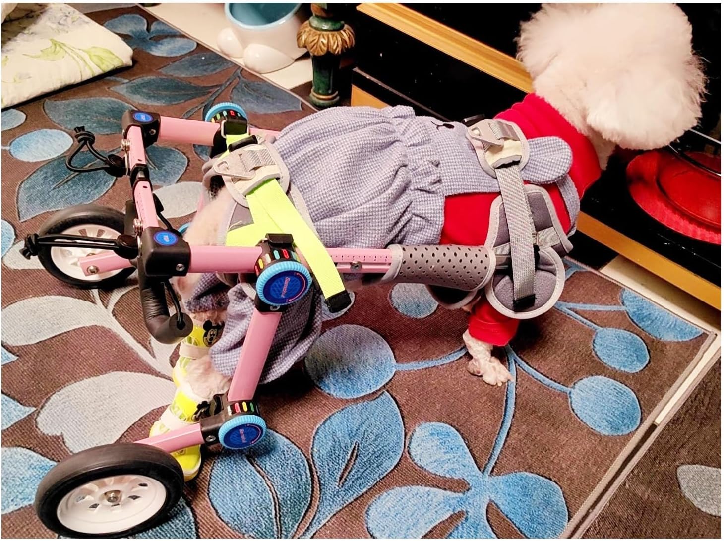 SRNSAEB Adjustable 2 Wheel Dog Wheelchair, Foldable