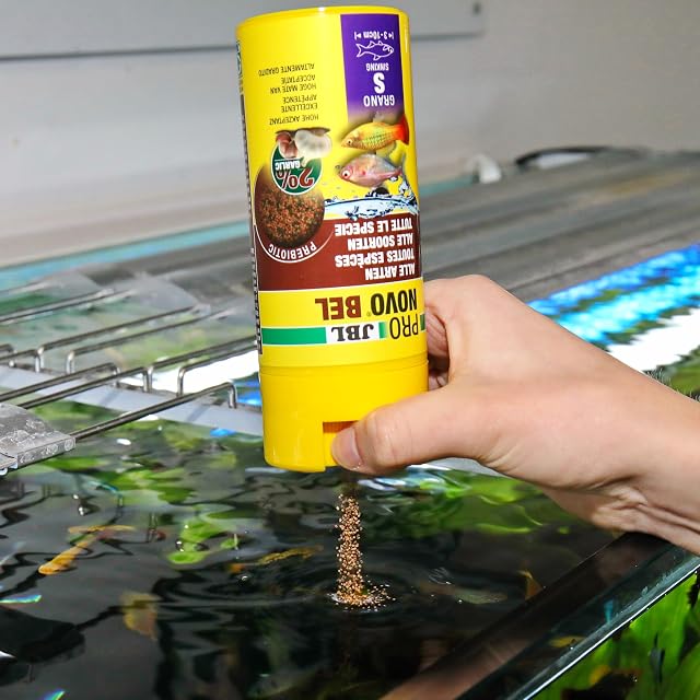 Foto 2 de 5 de JBL PRONOVO BEL Grano, Alimento básico para Todos Peces de Acuario de 3-10 cm, Gránulos para Pescados