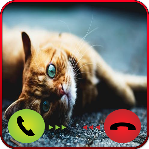 Fake Call From Cat App on Amazon Appstore