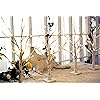 Product Photo 7
