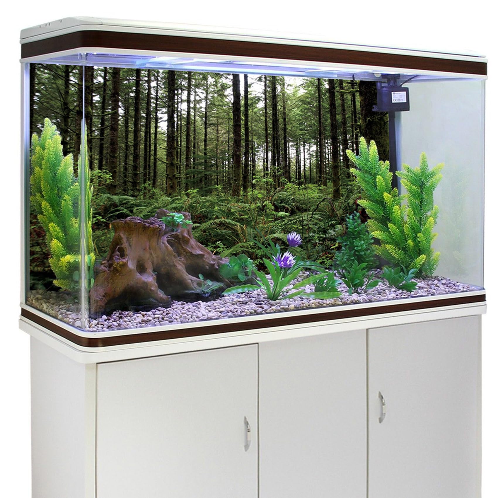 Kleine Vissen in Aquarium Op Een Groene Achtergrond Stock Afbeelding Kleine Vissen in Aquarium Op Een Groene Achtergrond Stock Afbeelding