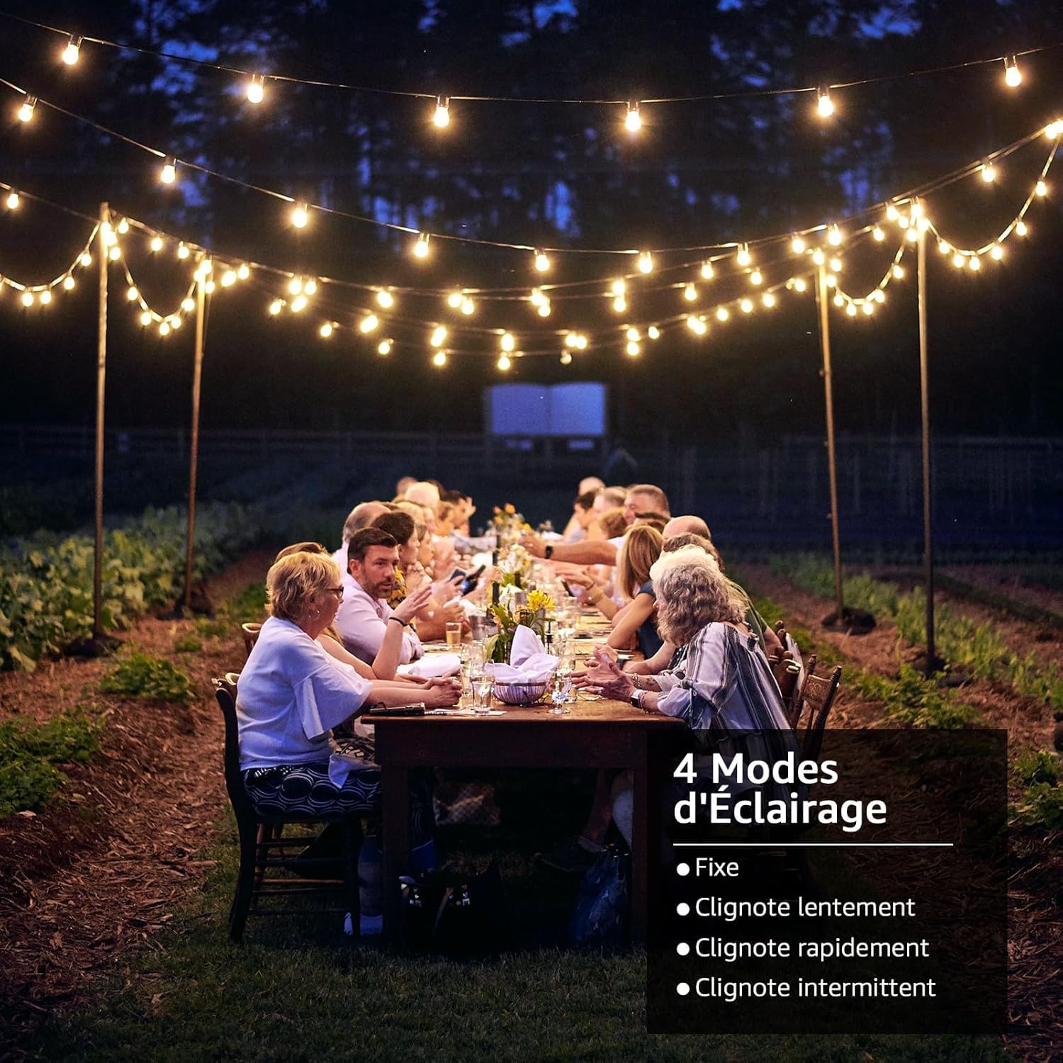Lepro Guirlande Lumineuse Extérieur Solaire 4 Modes 7.6m | Guirlande Guinguette USB, 25 Ampoules G40, Blanc Chaud 2700K, Étanche pour Jardin, Terrasse, Cour, Patio, Fête Décoration