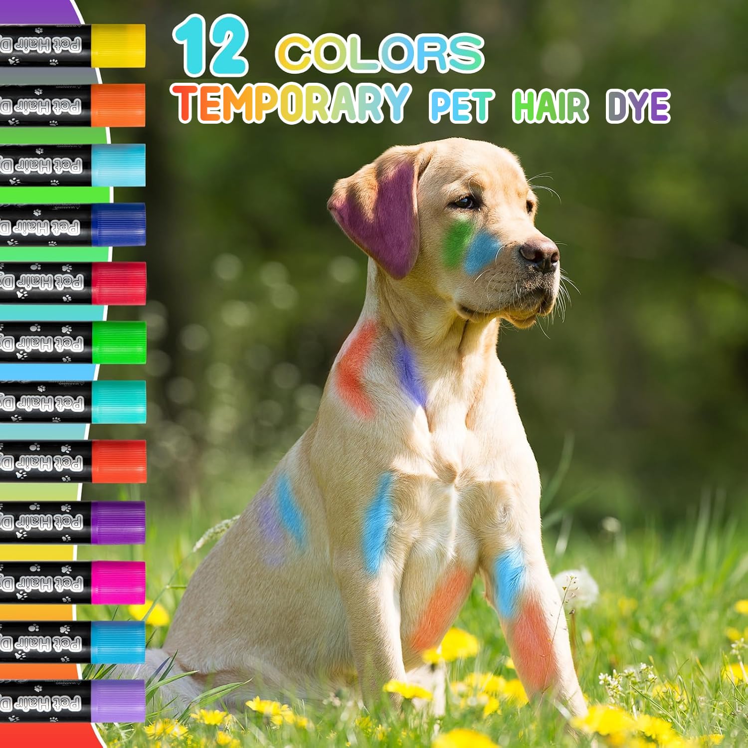 Amazon.com : 12 Pack Dog Hair Color Dye Temporary Non-toxic