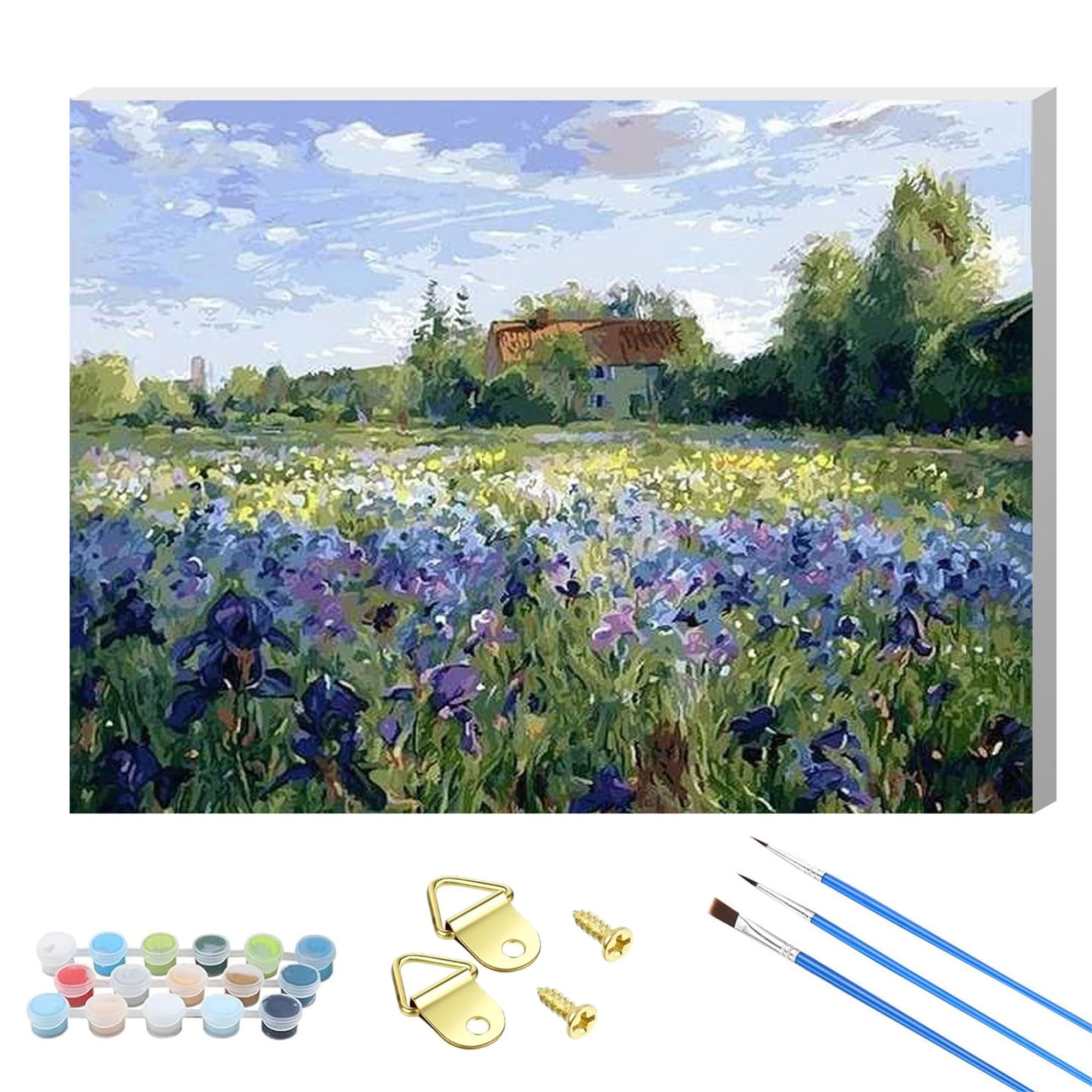 Dsfefv View Wooden Framed Paint By Number For Adults,Diy Painting Kits For Adult,Color By Numbers Acrylic,Paint By Number Canvas Crafts Watercolor For Beginner Home Decor. (View)