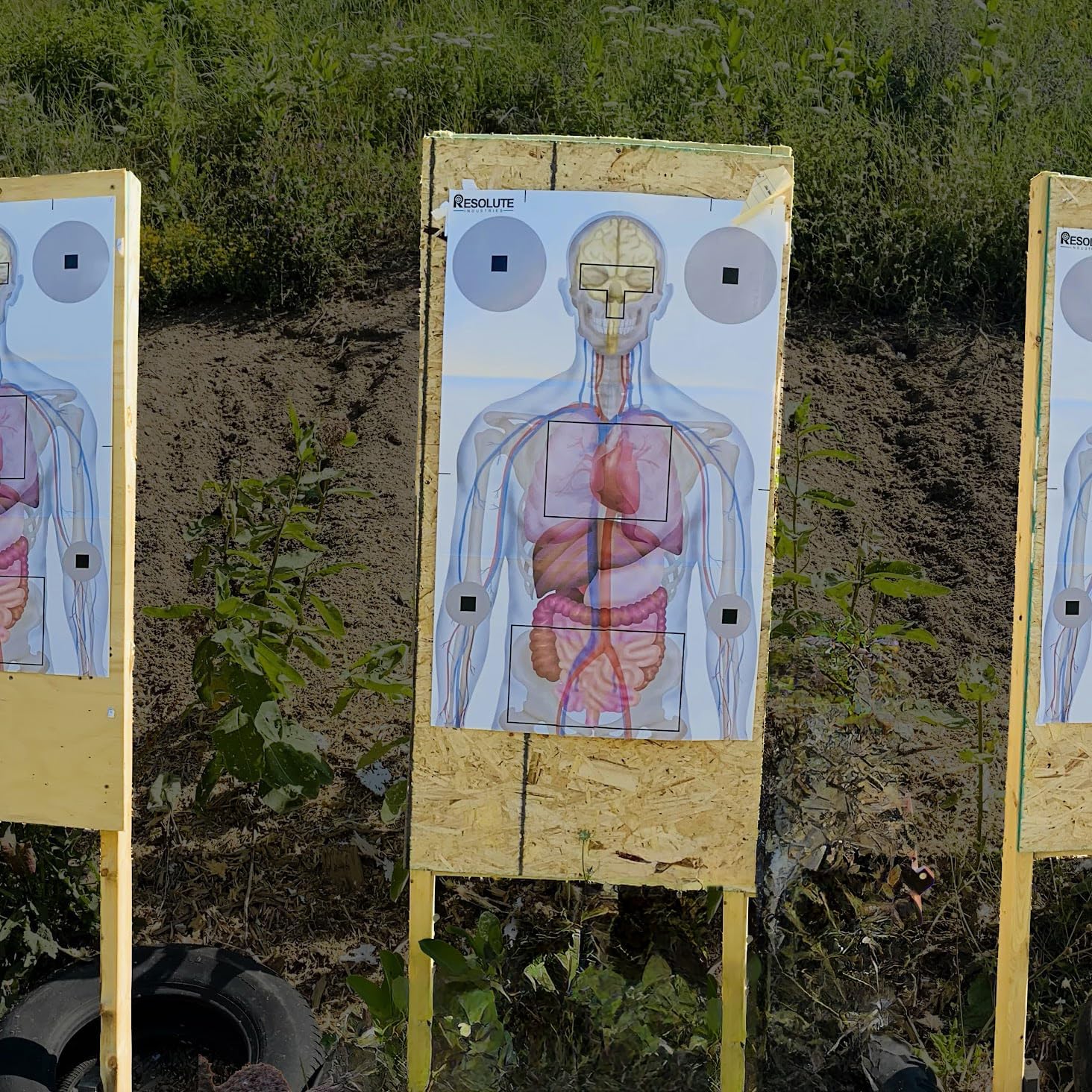 Resolute 23x35 Medically Designed Shooting Targets for The Range - 100% Anatomical Paper Silhouette - Gun Accessories for Pistols, Rifles, Airsoft, Air Pistols, BB & Pellet Shooting Practice (25)