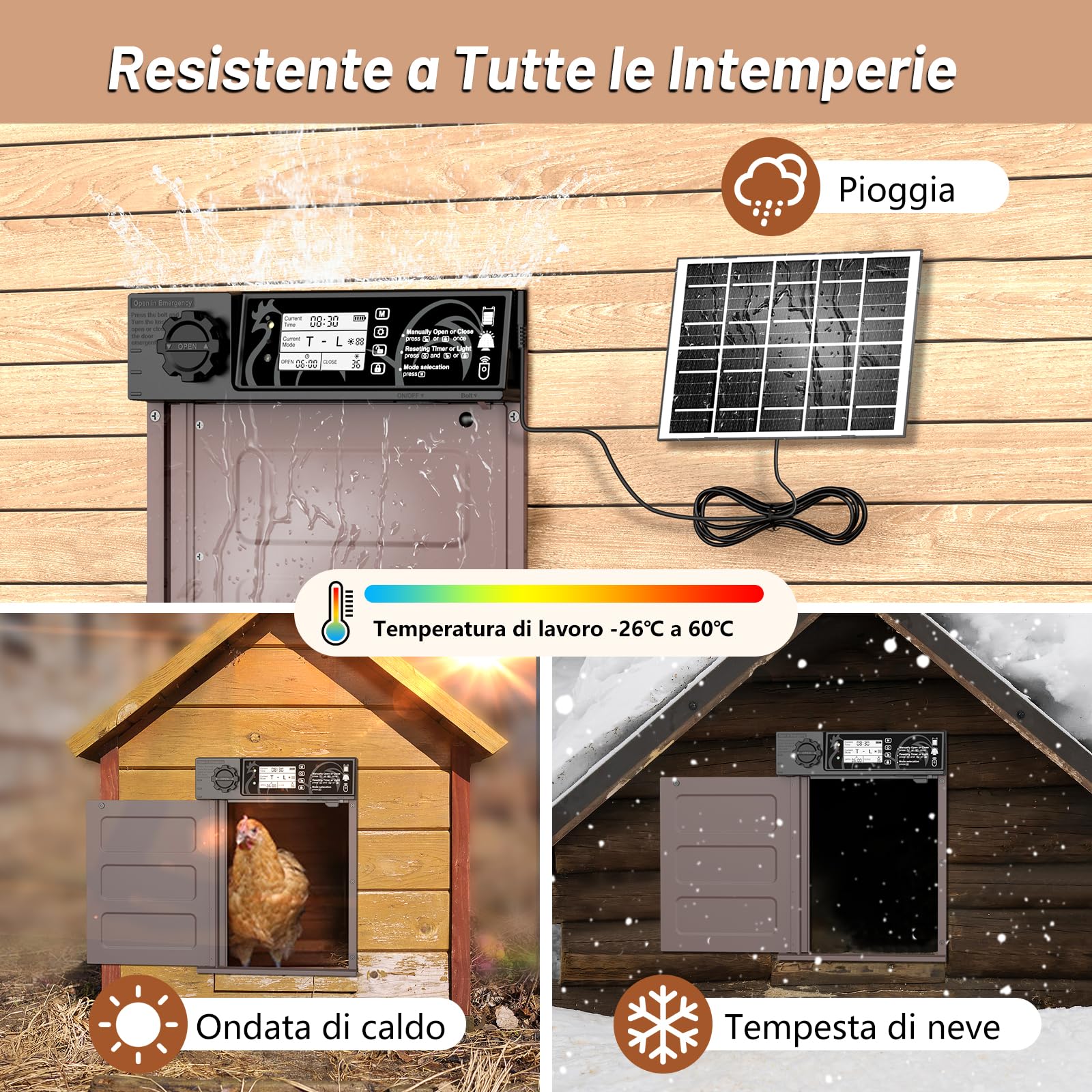 Porta pollaio Automatico con Display, Timer, Antipizzicamento, Impermeabile